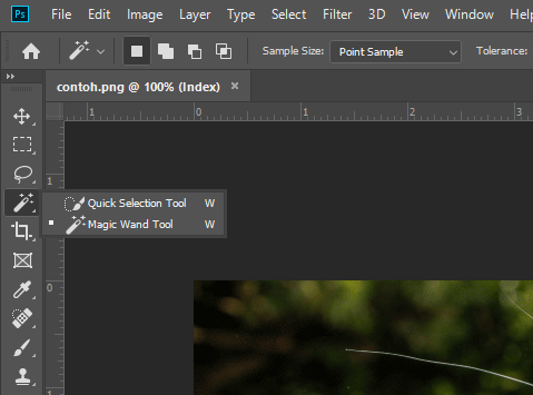 Quick Selection Tools di Photoshop